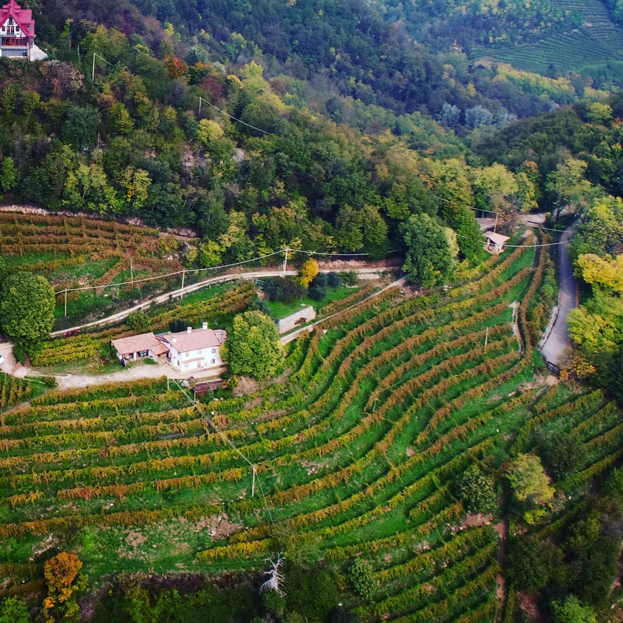 Rustico Costa D'Oro Villa Farra di Soligo Luaran gambar